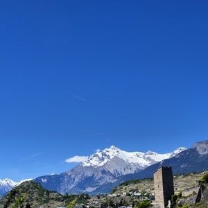 Hi, I’m Halley 👋